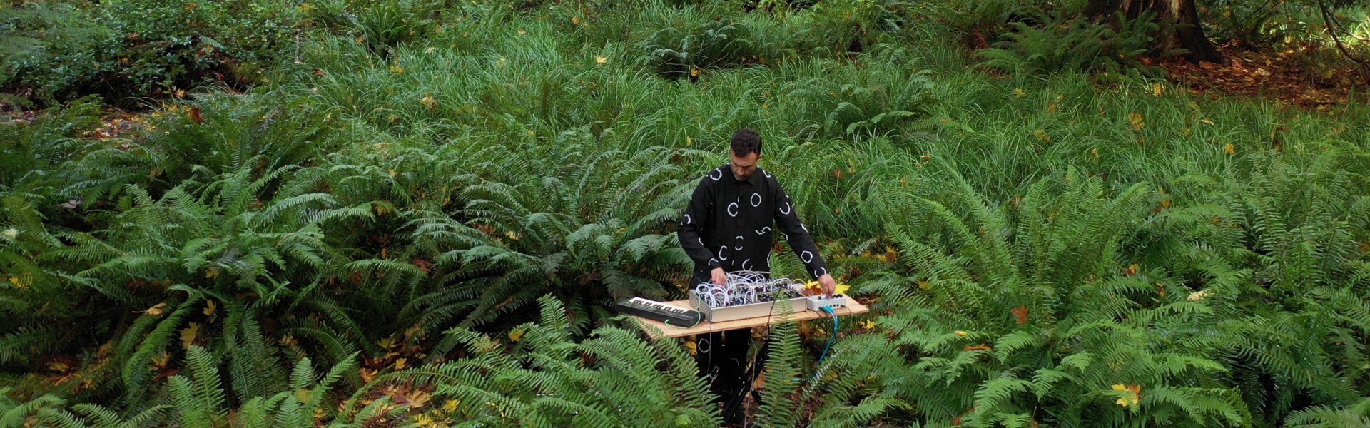 Man with music sound board records music while standing in a field of lush green ferns on Salt Spring Island.